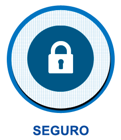 Seguro